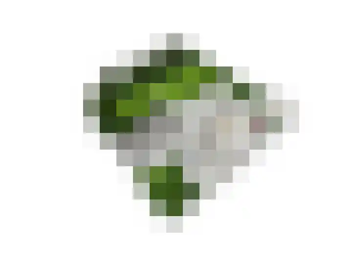 Zuiderzeedreef 17 Blaricum thumbnail 25