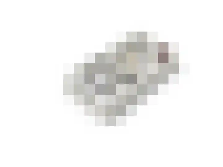 Zuiderzeedreef 17 Blaricum thumbnail 26