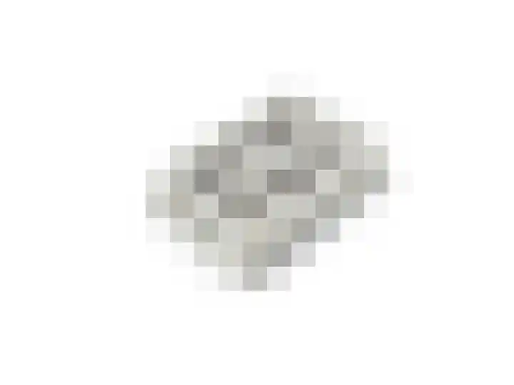 Zuiderzeedreef 17 Blaricum thumbnail 27