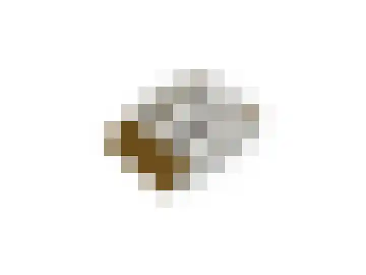 Zuiderzeedreef 17 Blaricum thumbnail 28