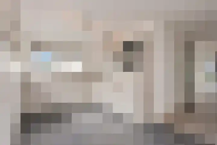 Zuiderzeedreef 17 Blaricum thumbnail 4