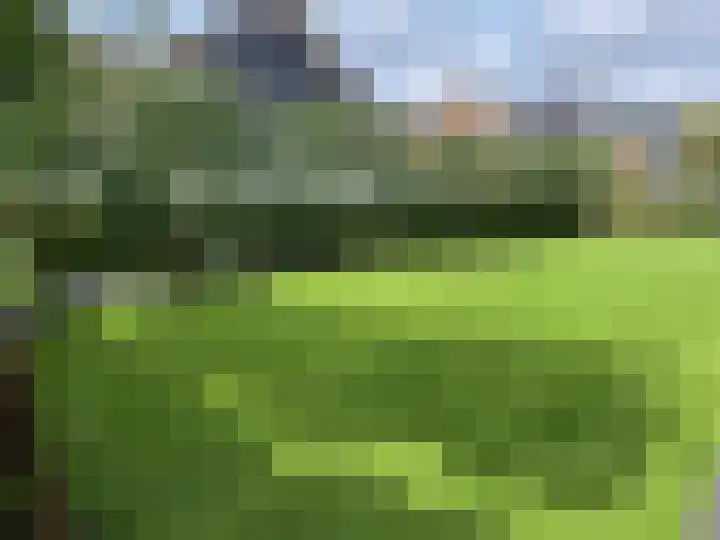 Zuiderzeedreef 17 Blaricum thumbnail 6