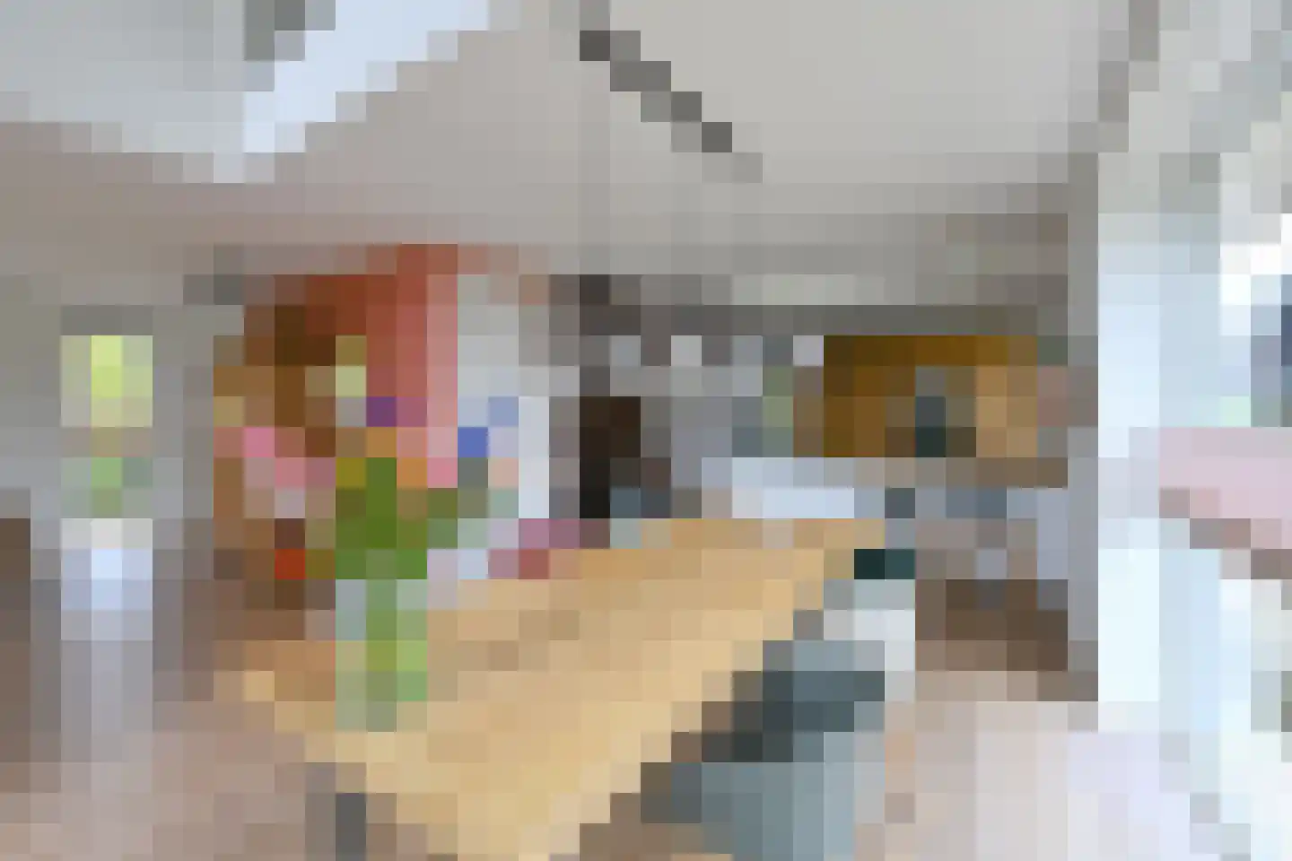 Zuiderzeedreef 33 Blaricum thumbnail 11