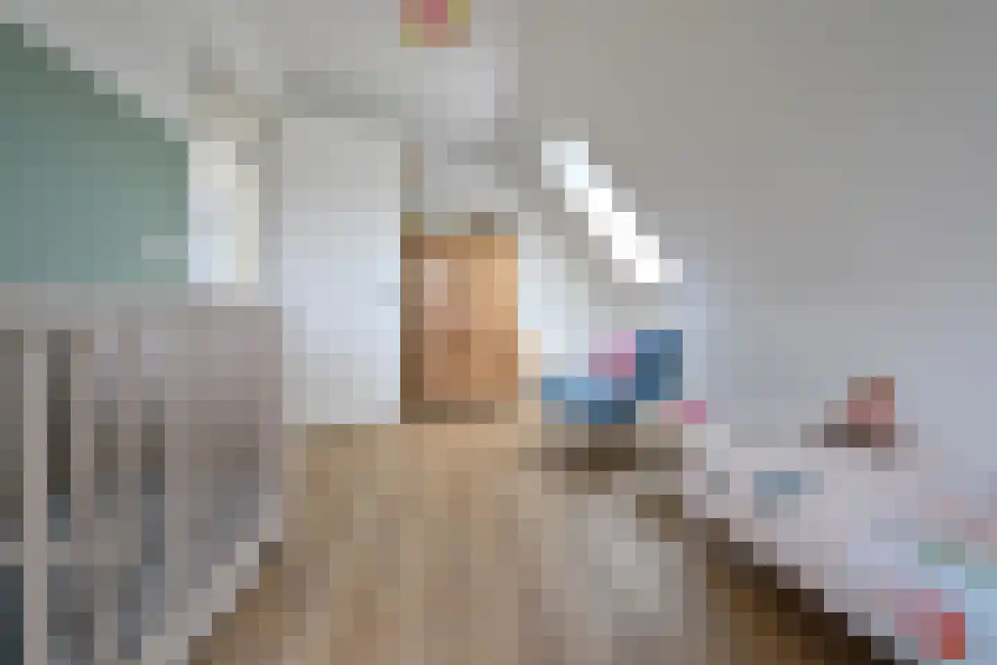 Zuiderzeedreef 33 Blaricum thumbnail 22