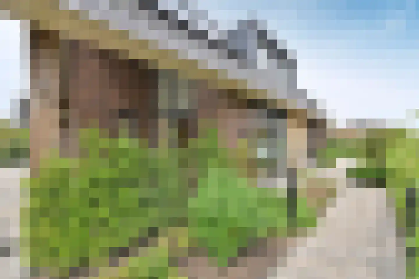 Zuiderzeedreef 33 Blaricum thumbnail 29