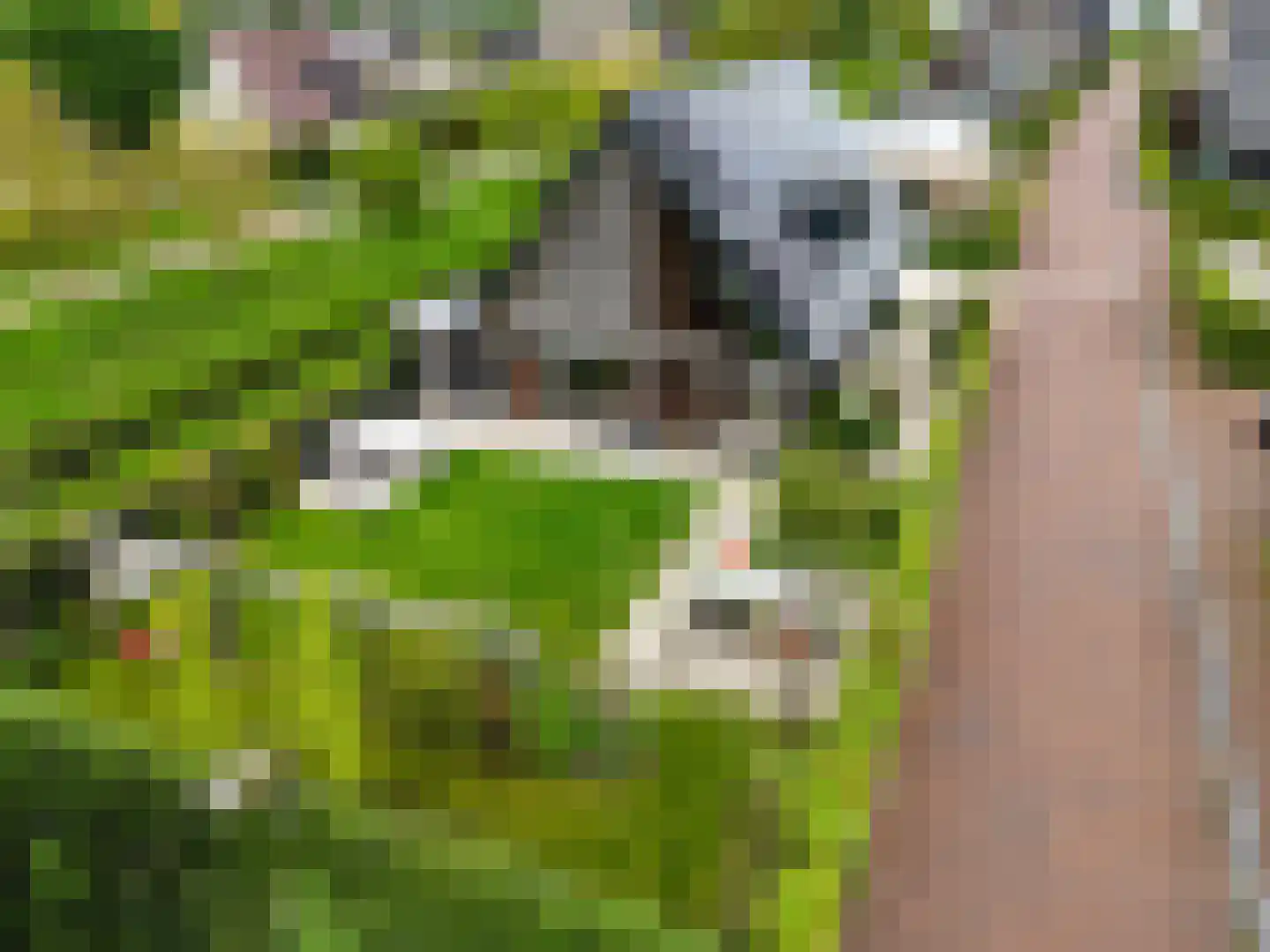 Zuiderzeedreef 33 Blaricum thumbnail 30