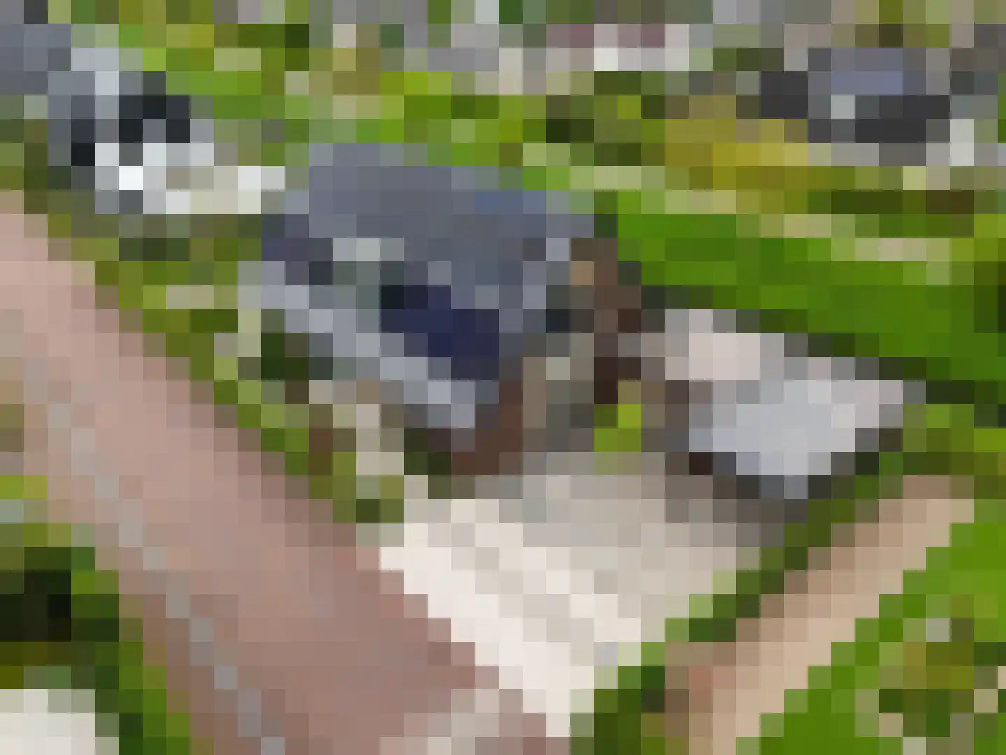 Zuiderzeedreef 33 Blaricum thumbnail 31