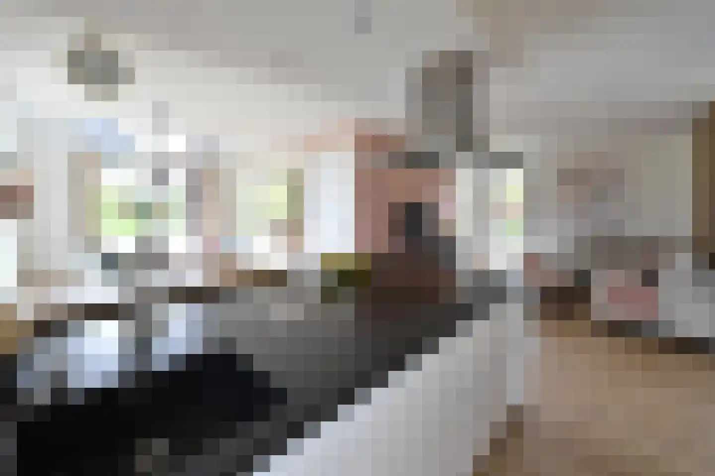 Zuiderzeedreef 33 Blaricum thumbnail 9
