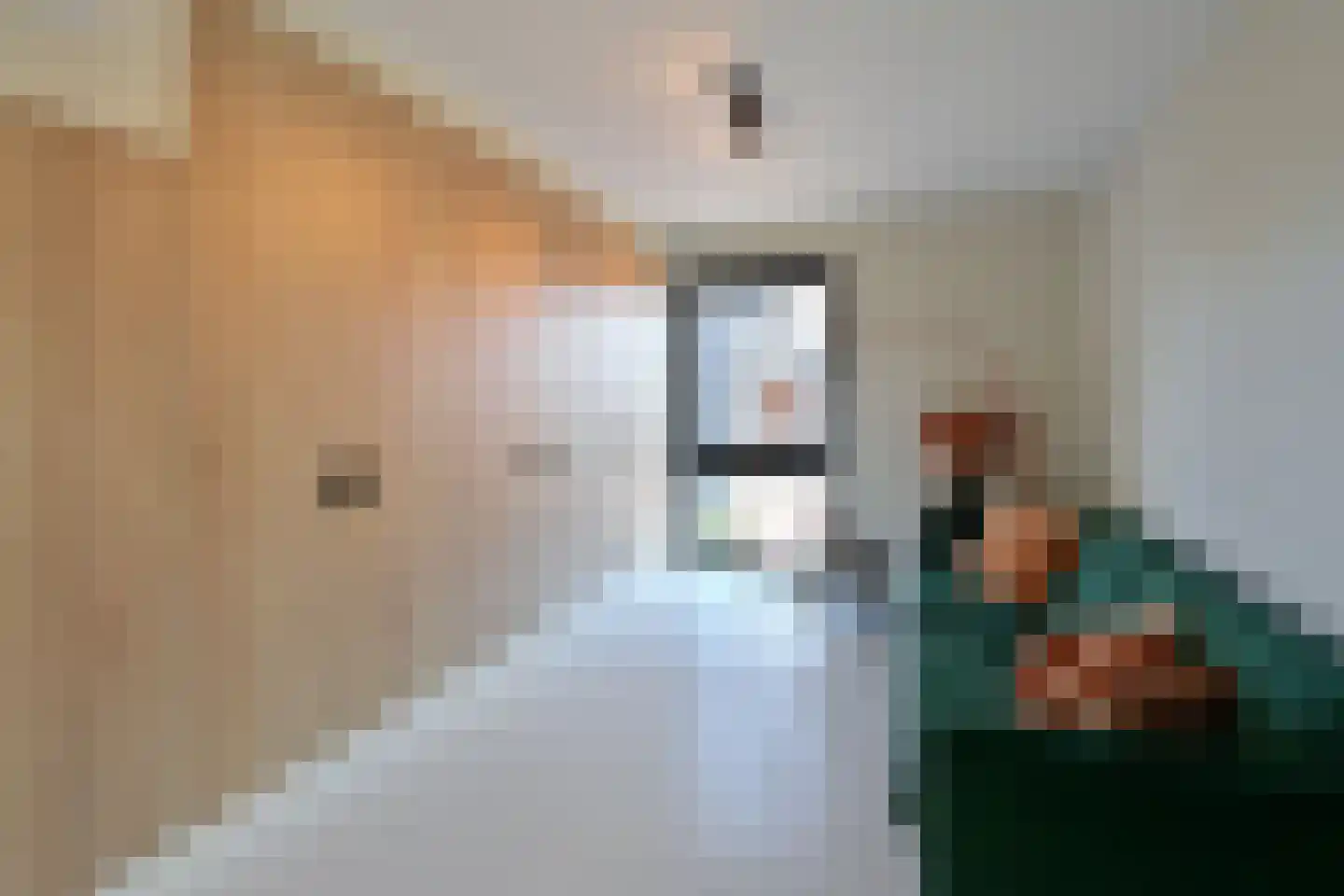 Zuiderzeedreef 41 Blaricum thumbnail 23