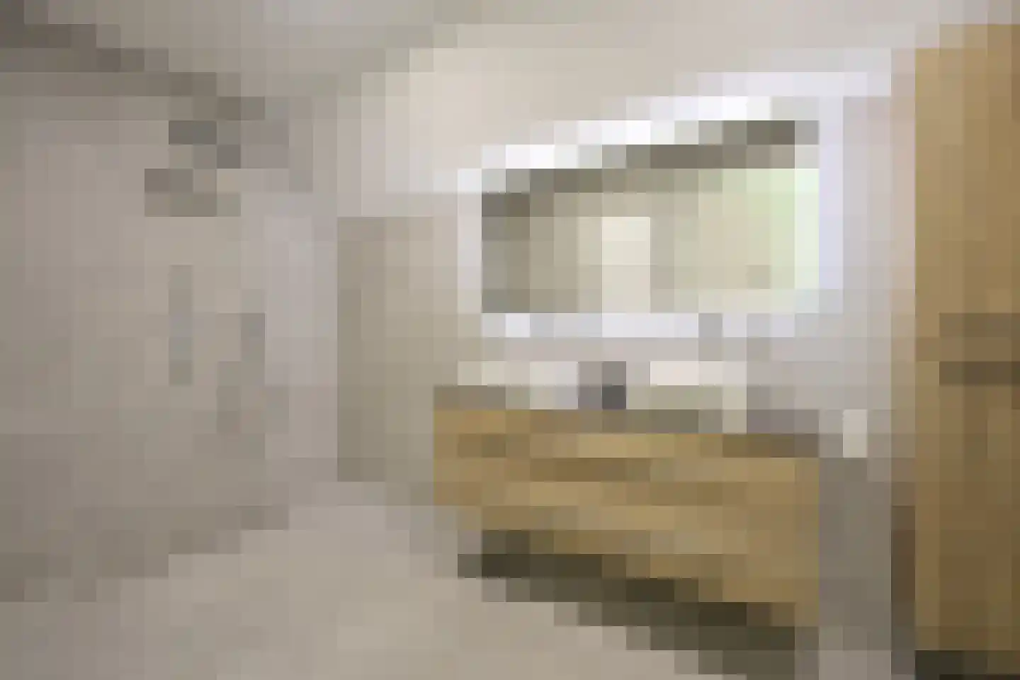 Zuiderzeedreef 41 Blaricum thumbnail 25