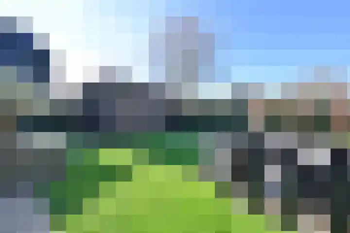 Zuiderzeedreef 41 Blaricum thumbnail 33