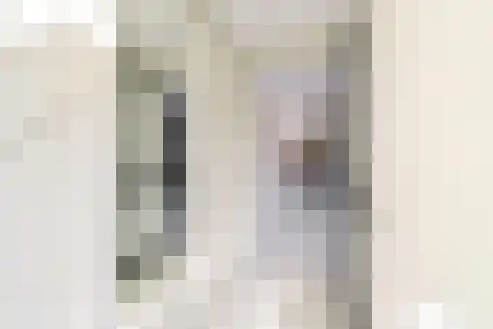 Zuiderzeedreef 41 Blaricum thumbnail 4