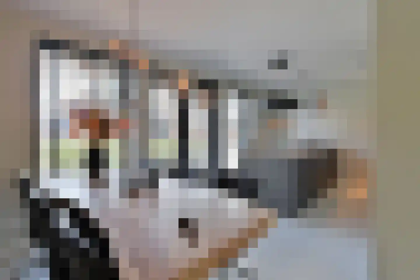 Zuiderzeedreef 41 Blaricum thumbnail 6