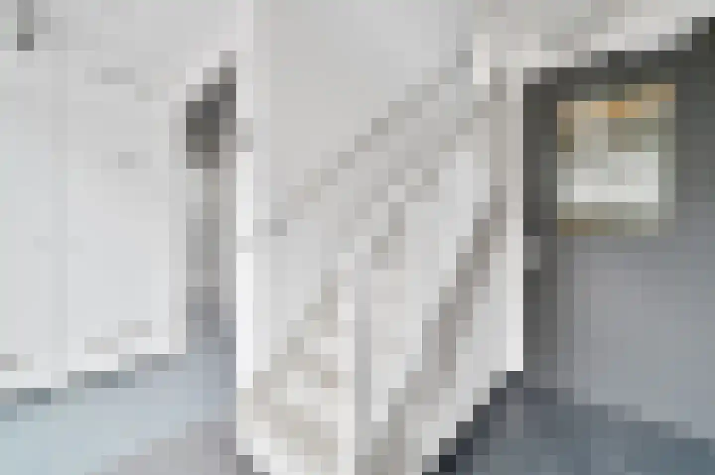 Zuiderzeehof 12 Zeewolde thumbnail 21