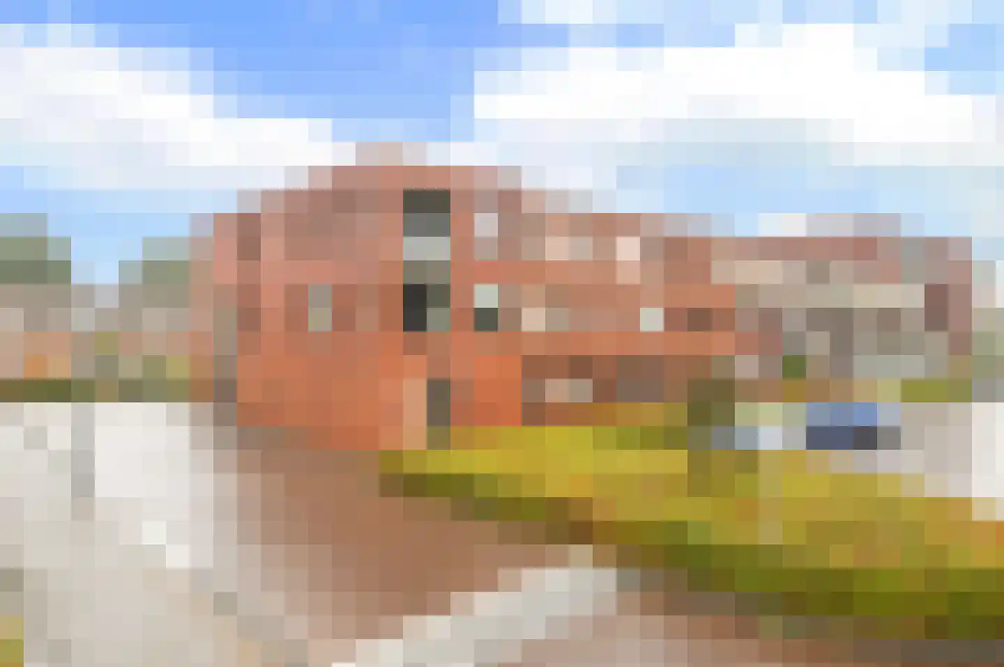Zuiderzeehof 12 Zeewolde thumbnail 22