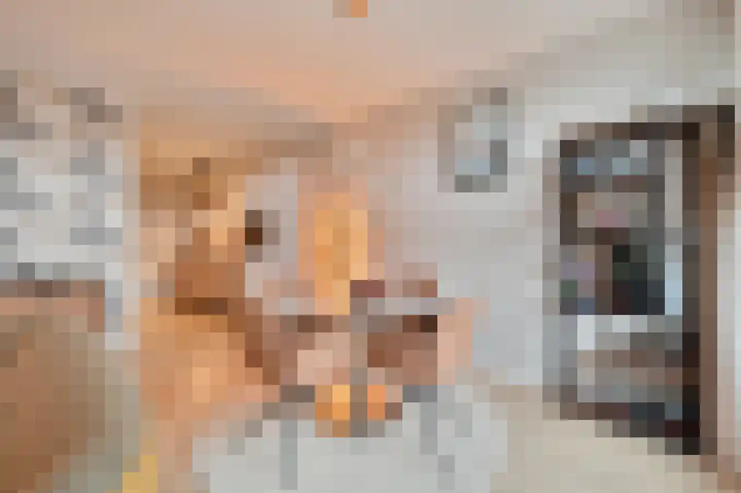 Zuiderzeehof 12 Zeewolde thumbnail 8