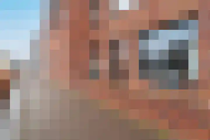 Zuiderzeehof 18 Zeewolde thumbnail 24