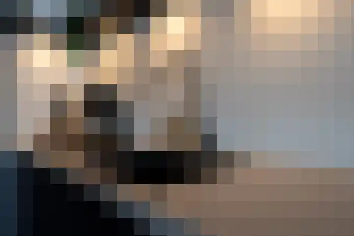 Zuiderzeehof 18 Zeewolde thumbnail 5