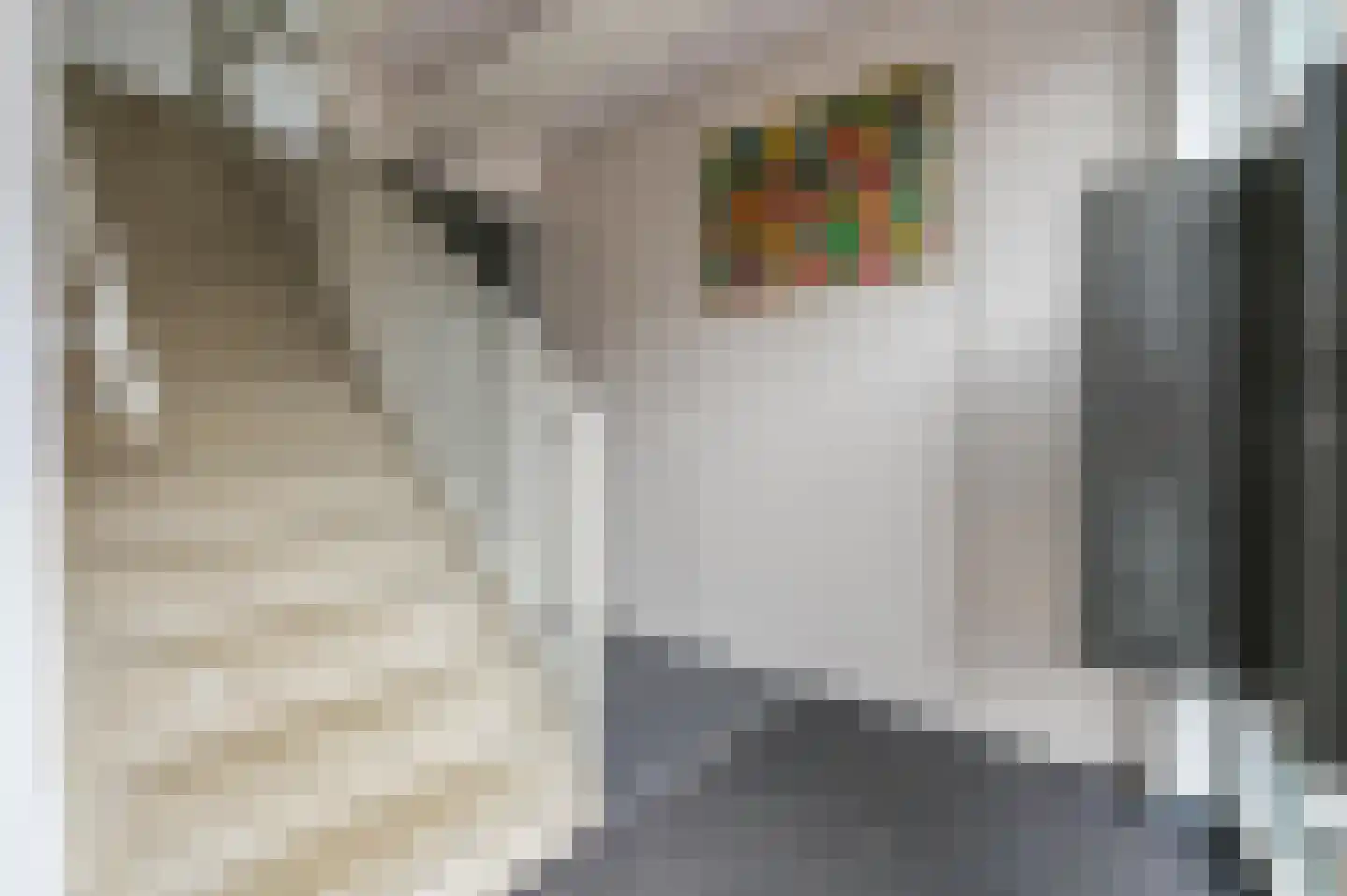 Zuiderzeehof 2 Zeewolde thumbnail 27