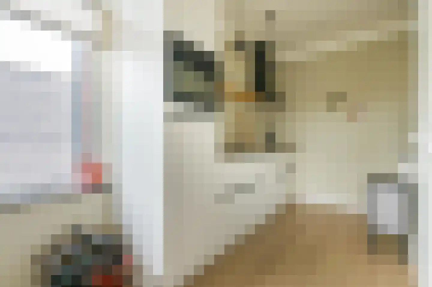 Zuiderzeehof 2 Zeewolde thumbnail 5