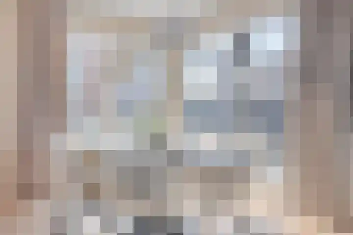 Zuiderzeekade 1 Bunschoten-Spakenburg thumbnail 16
