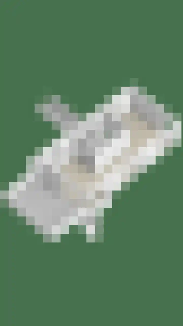 Zuiderzeekade 1 Bunschoten-Spakenburg thumbnail 33