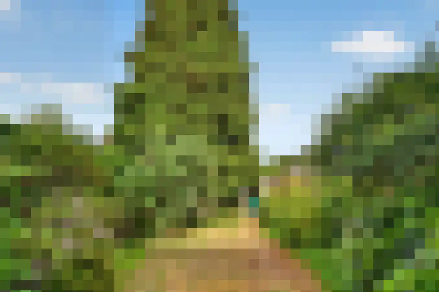 Zuiderzeelaan 10 Eindhoven thumbnail 23