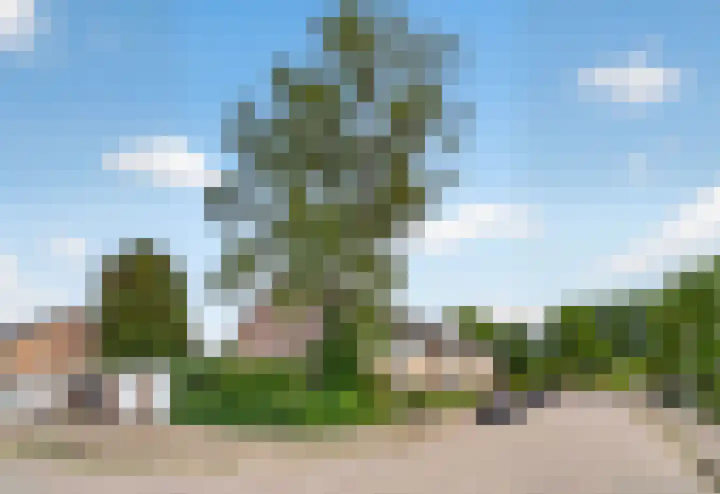 Zuiderzeelaan 10 Eindhoven thumbnail 25
