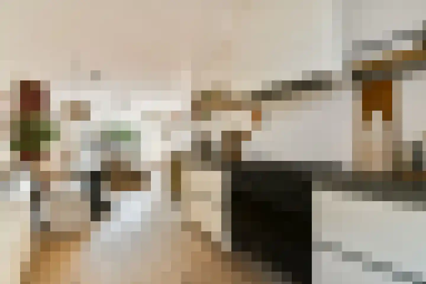Zuiderzeelaan 105 Landsmeer thumbnail 11