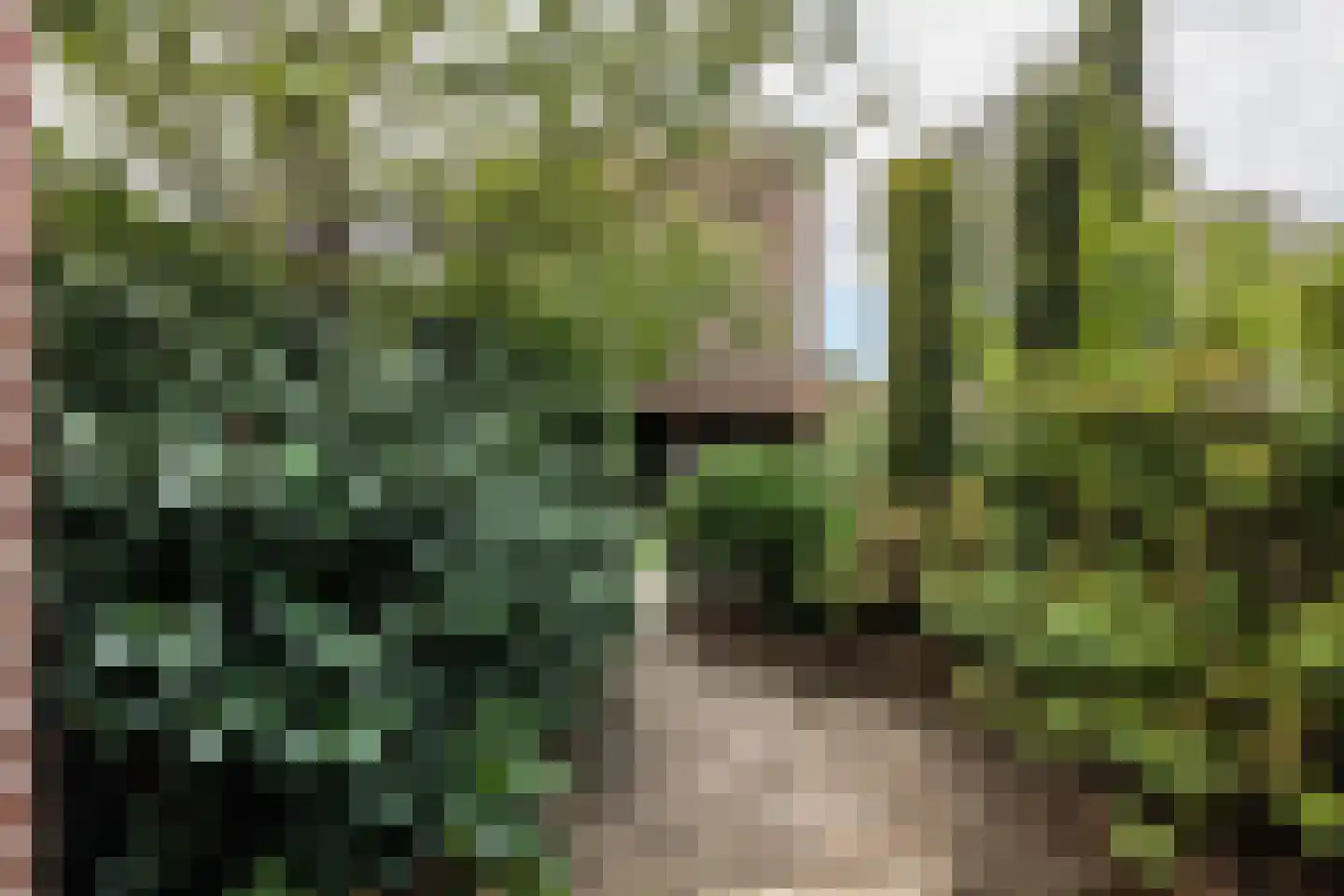 Zuiderzeelaan 12 Haarlem thumbnail 10