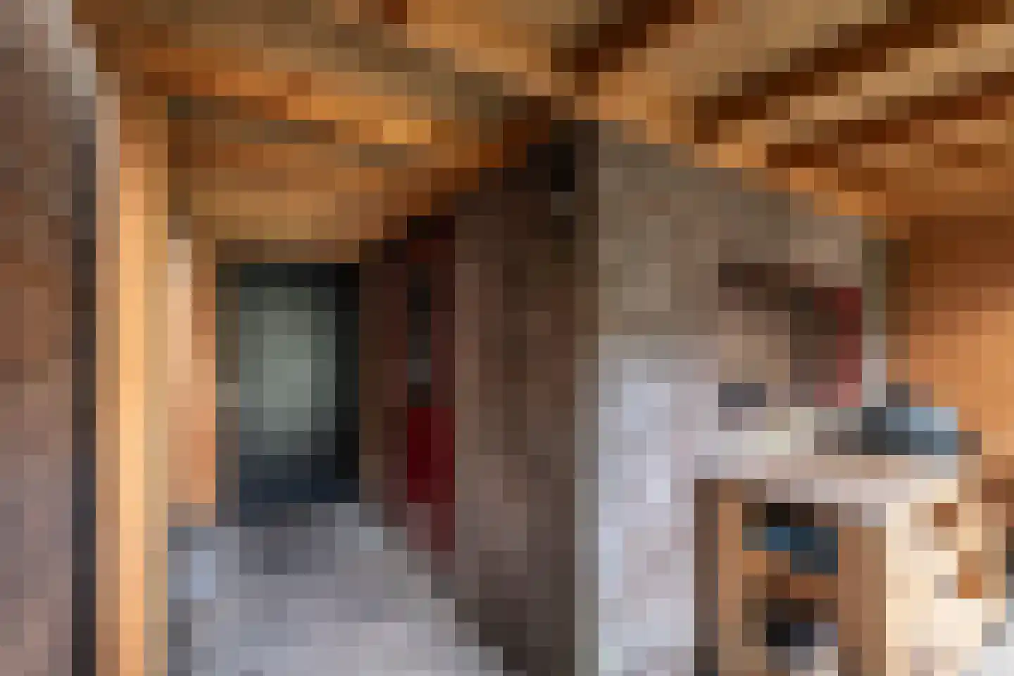 Zuiderzeelaan 12 Haarlem thumbnail 12