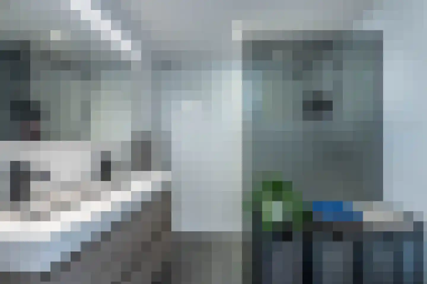 Zuiderzeelaan 12 Haarlem thumbnail 16
