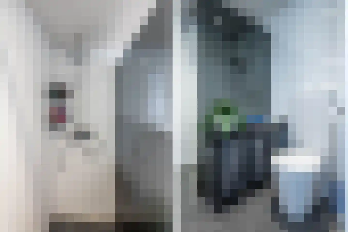 Zuiderzeelaan 12 Haarlem thumbnail 17