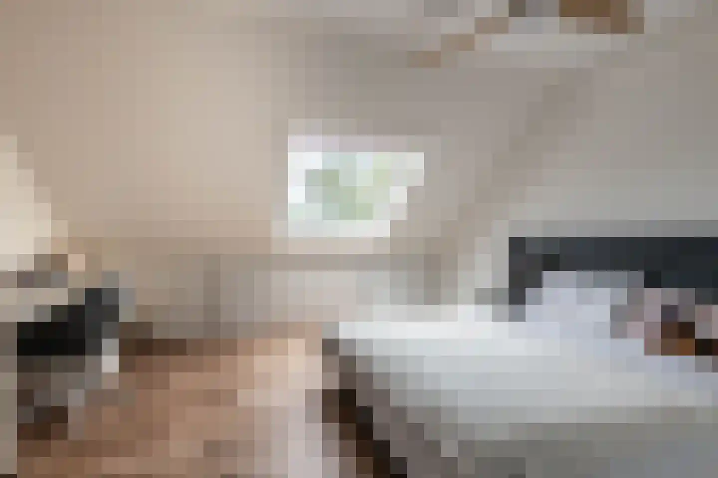 Zuiderzeelaan 12 Haarlem thumbnail 21
