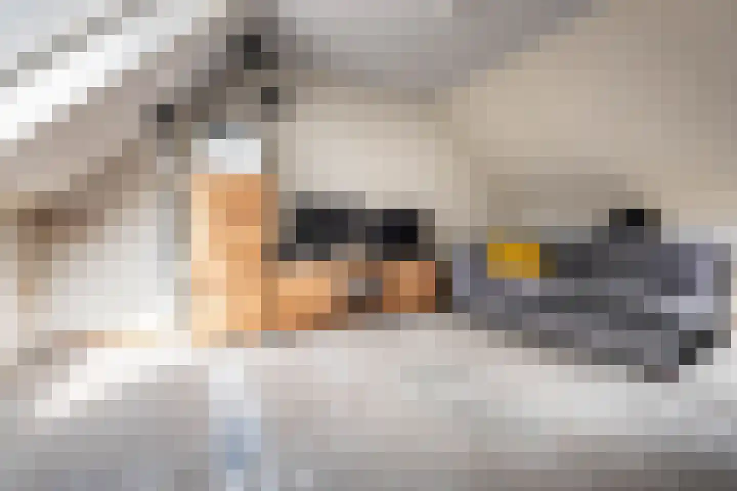 Zuiderzeelaan 12 Haarlem thumbnail 22