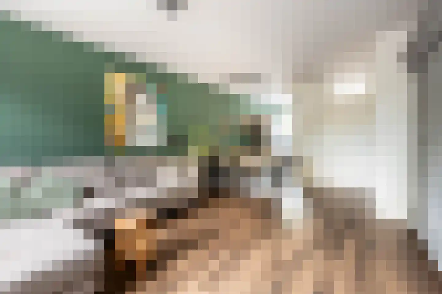 Zuiderzeelaan 12 Haarlem thumbnail 5