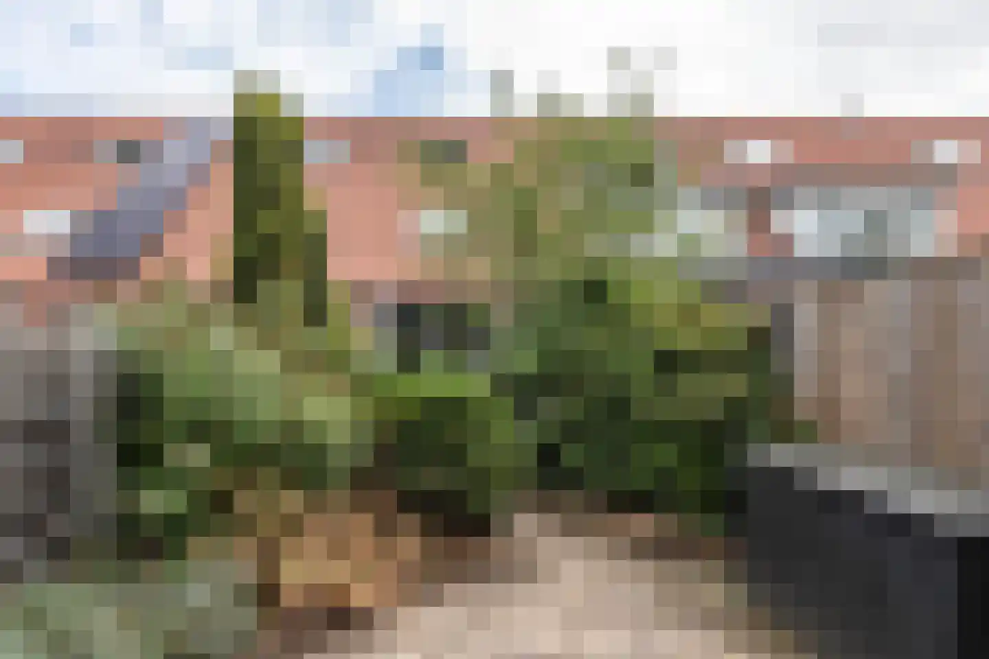 Zuiderzeelaan 12 Haarlem thumbnail 9