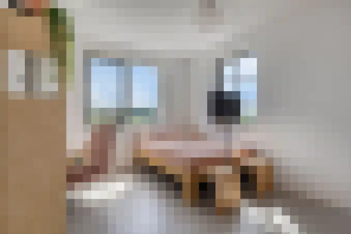Zuiderzeelaan 129 Landsmeer thumbnail 28
