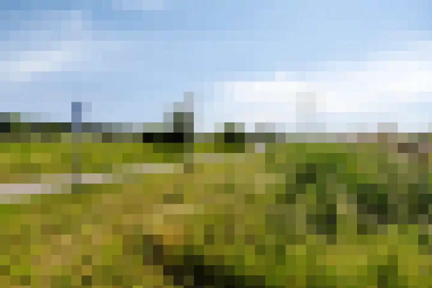 Zuiderzeelaan 129 Landsmeer thumbnail 59