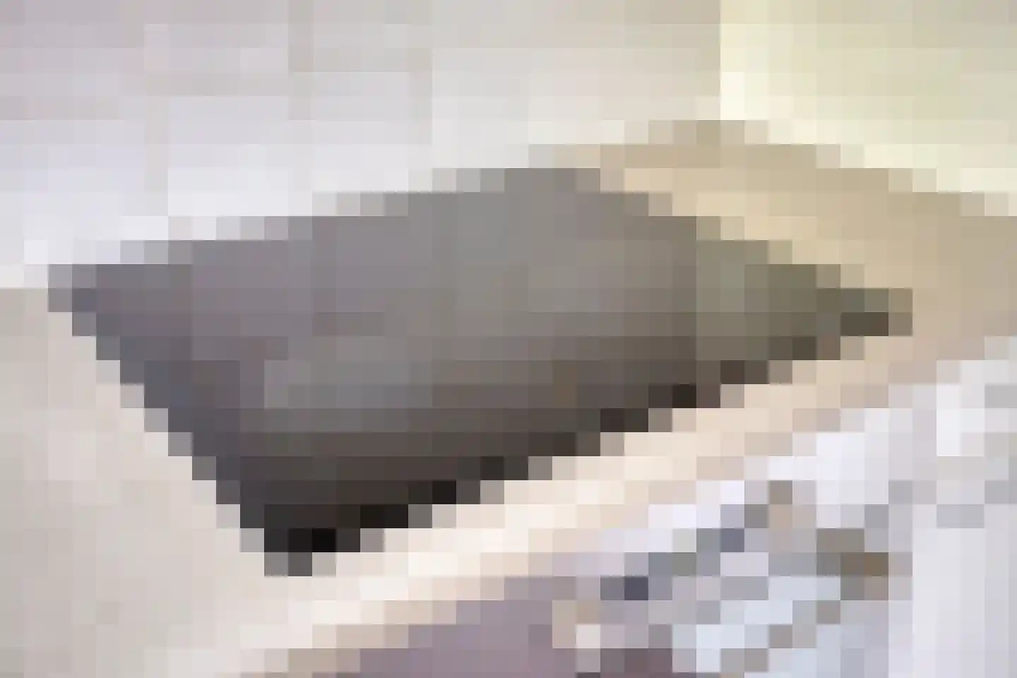 Zuiderzeelaan 20 Eindhoven thumbnail 22