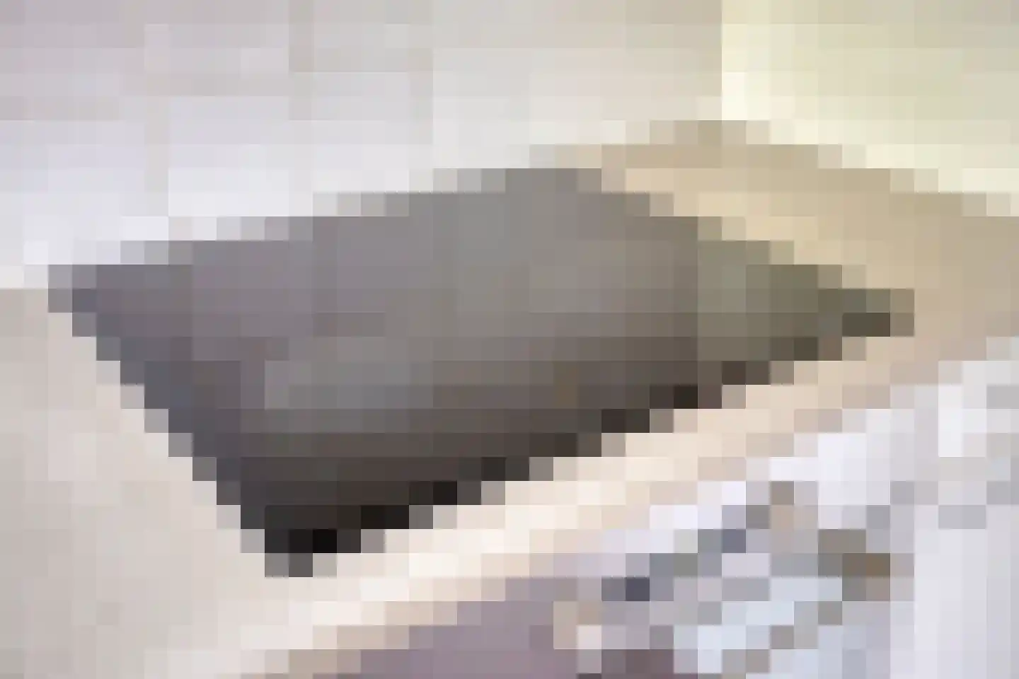 Zuiderzeelaan 20 Eindhoven thumbnail 28
