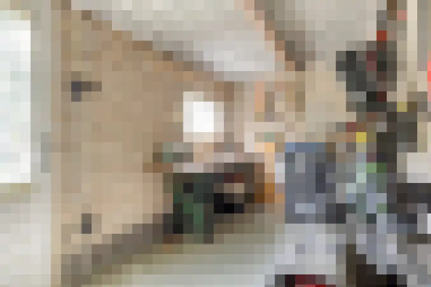 Zuiderzeelaan 20 Eindhoven thumbnail 49
