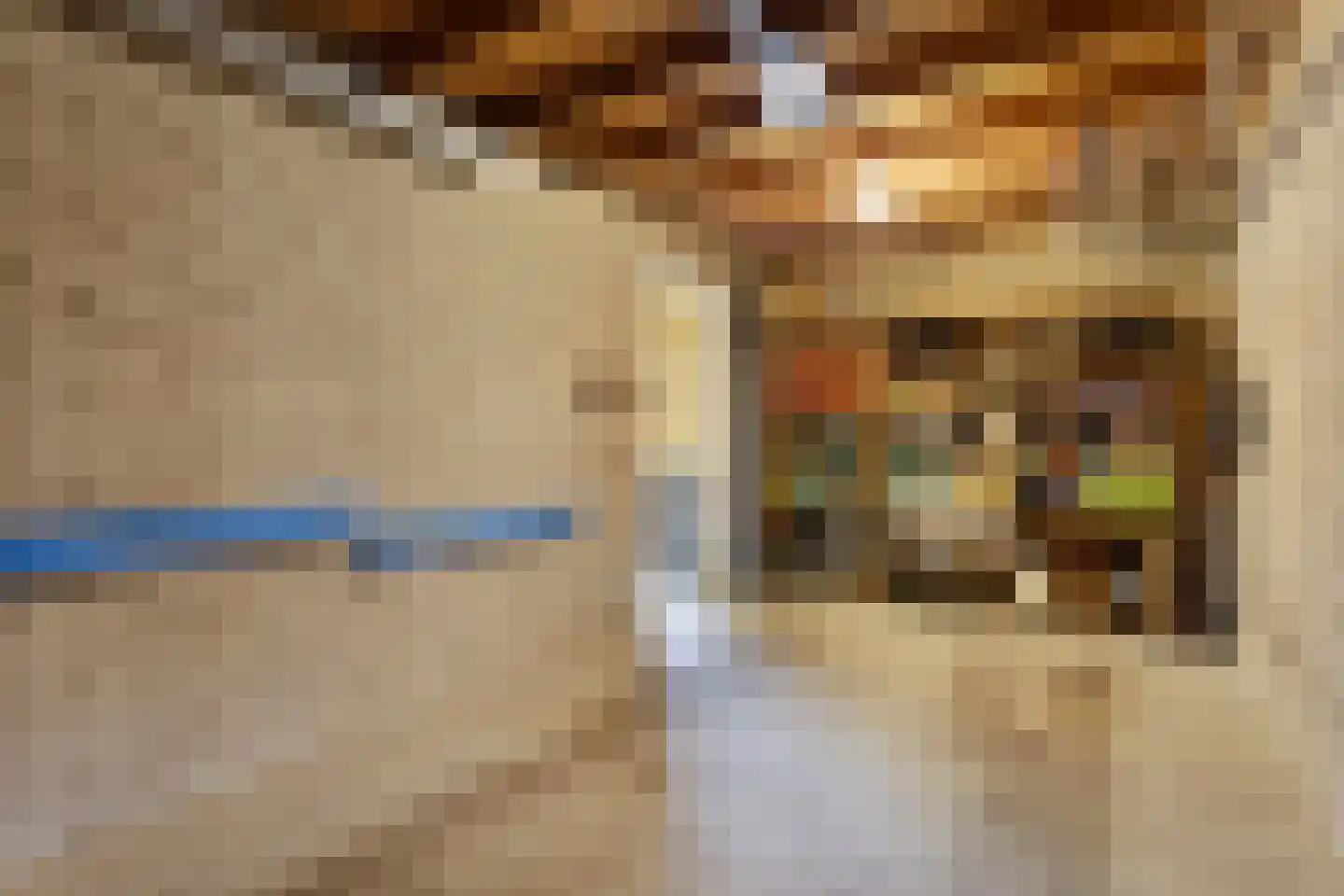 Zuiderzeelaan 20 Eindhoven thumbnail 53