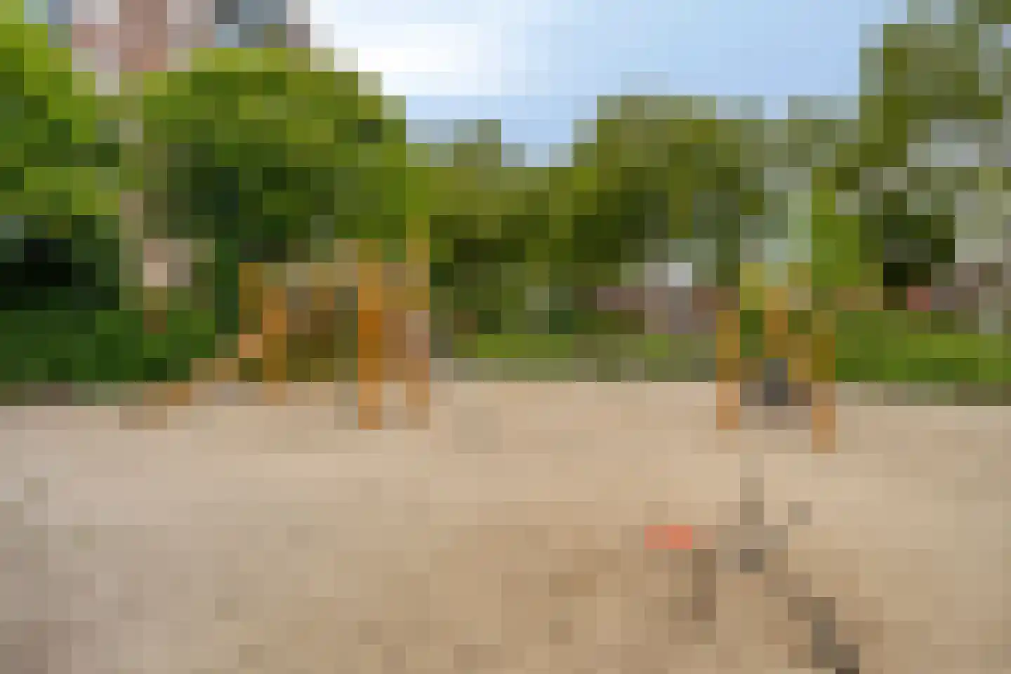 Zuiderzeelaan 20 Eindhoven thumbnail 58
