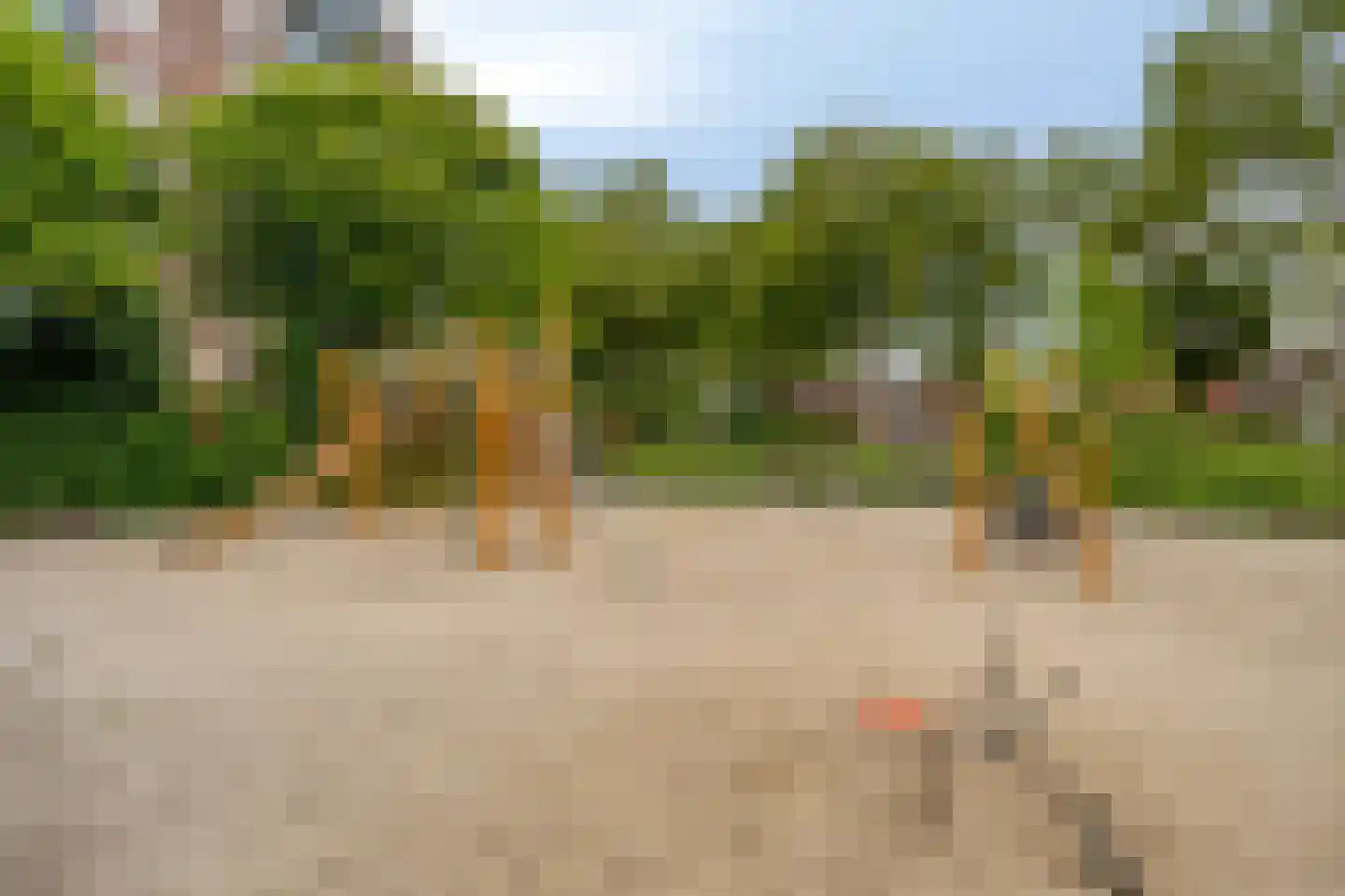 Zuiderzeelaan 20 Eindhoven thumbnail 59