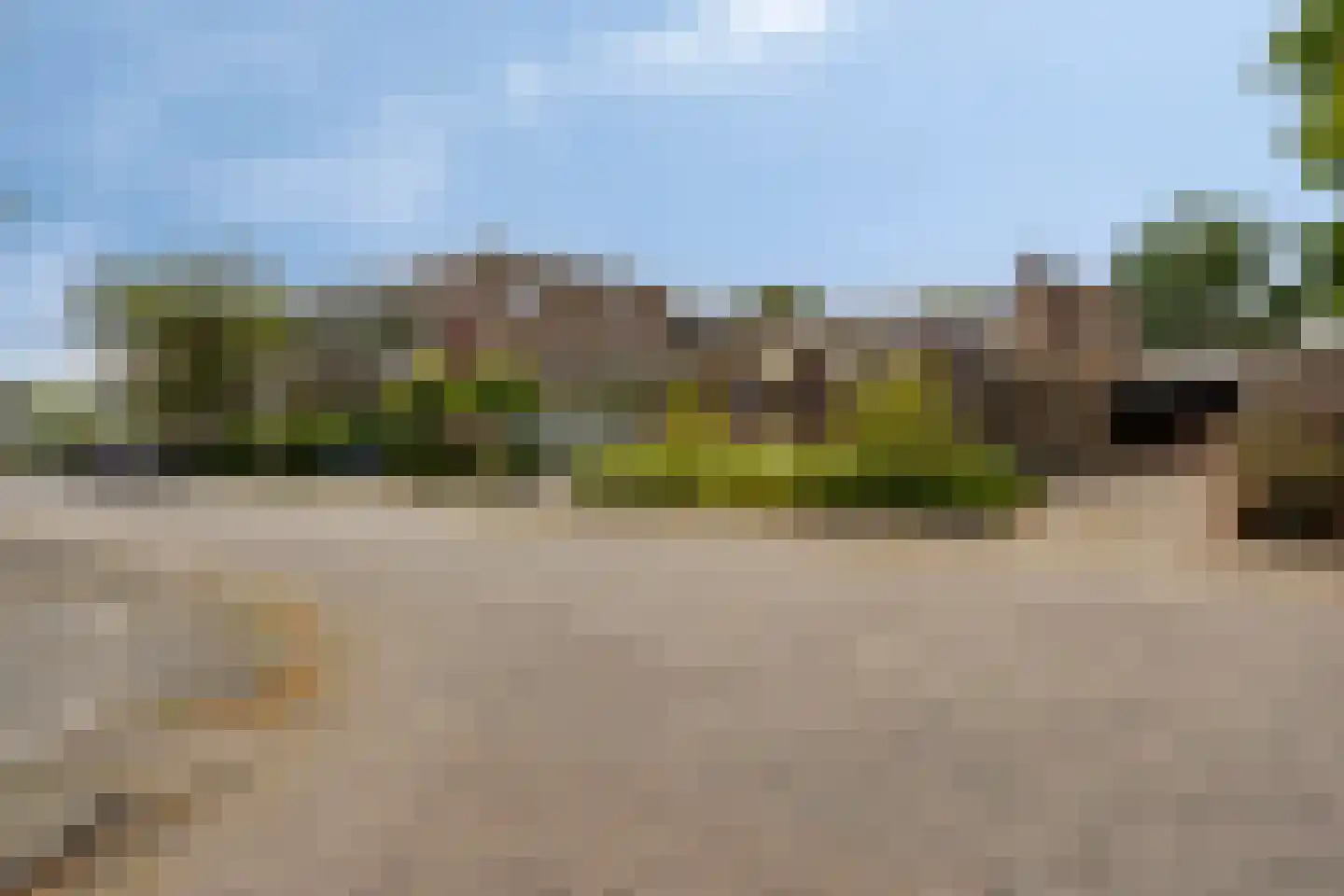 Zuiderzeelaan 20 Eindhoven thumbnail 60