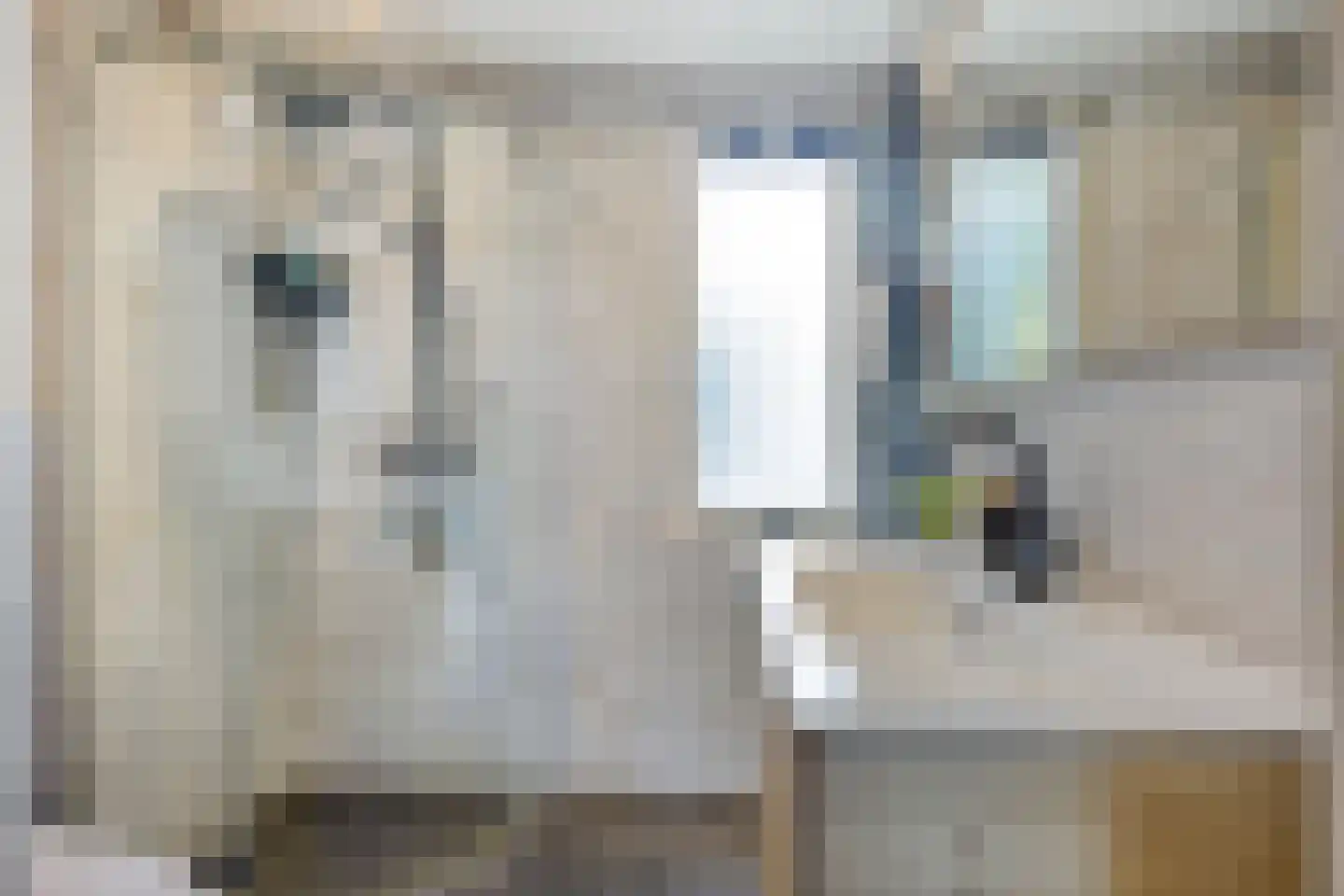 Zuiderzeelaan 24 Eindhoven thumbnail 21