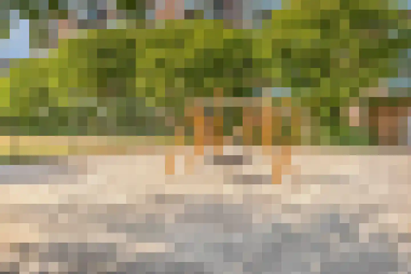 Zuiderzeelaan 24 Eindhoven thumbnail 37