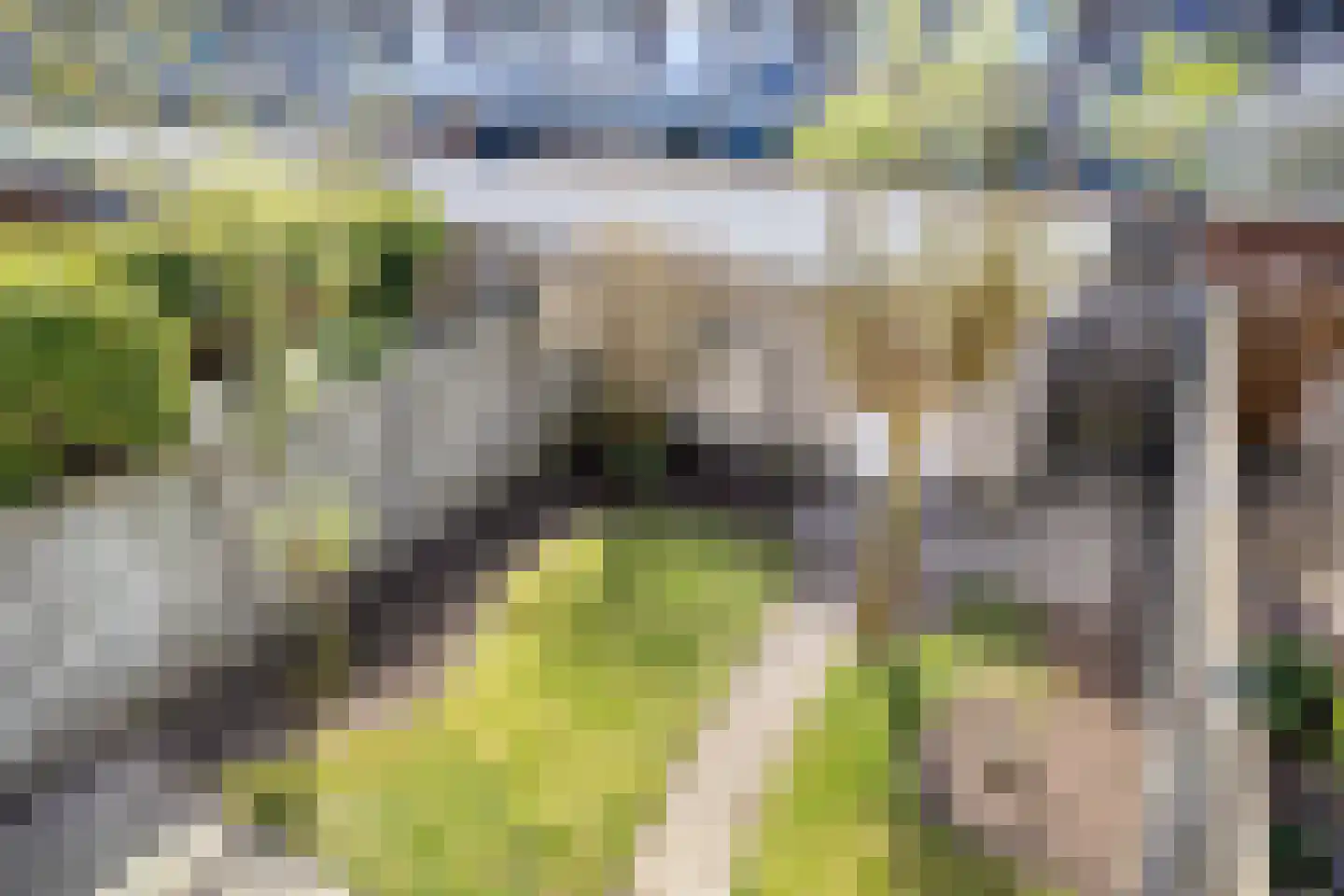 Zuiderzeelaan 36 Eindhoven thumbnail 38