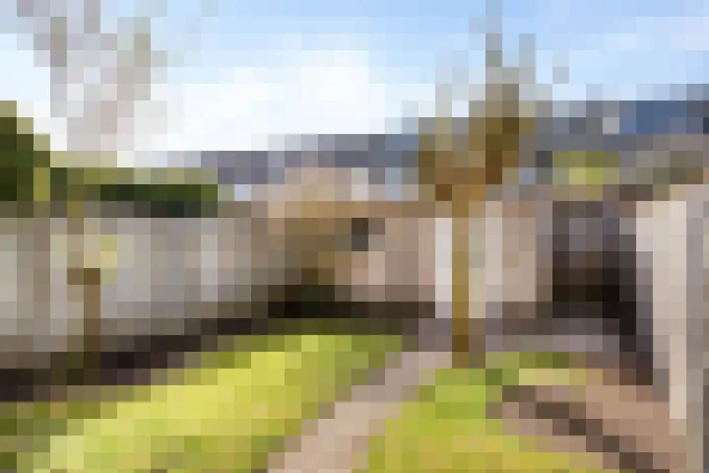 Zuiderzeelaan 36 Eindhoven thumbnail 47